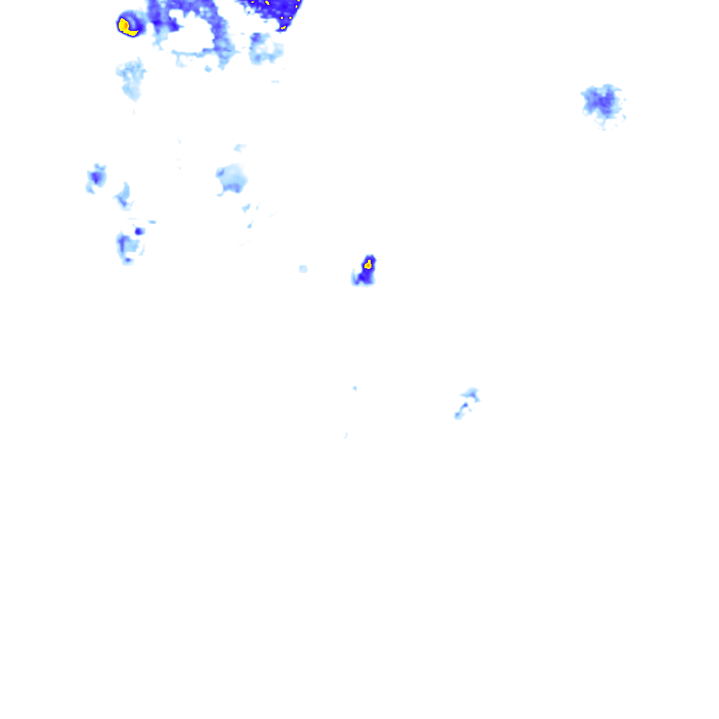 rainLayer