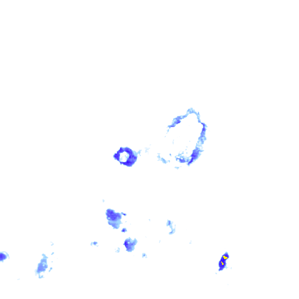 rainLayer