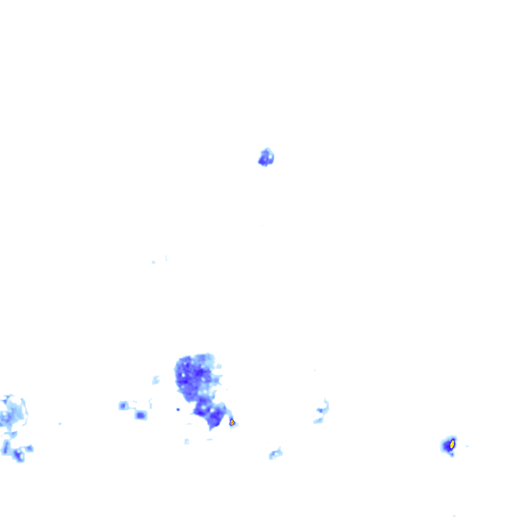 rainLayer