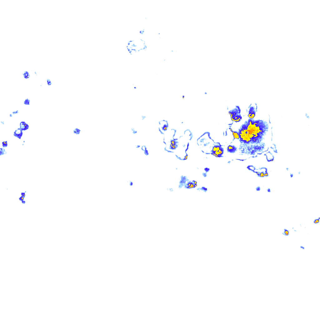rainLayer