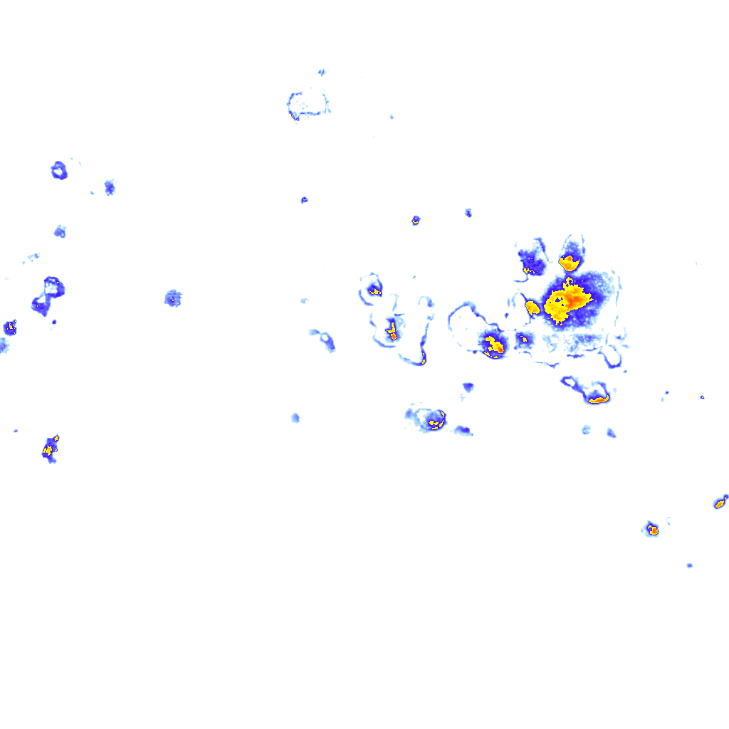 Image Layer