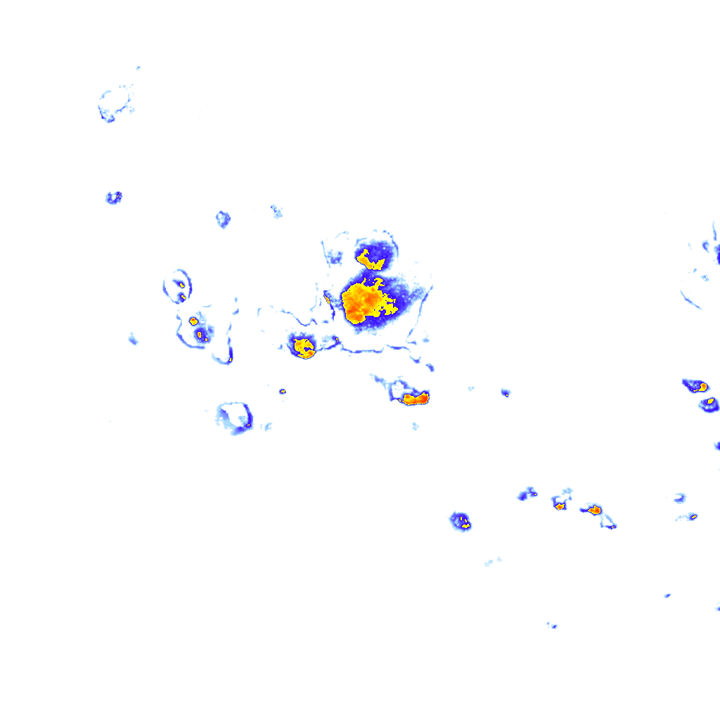 rainLayer