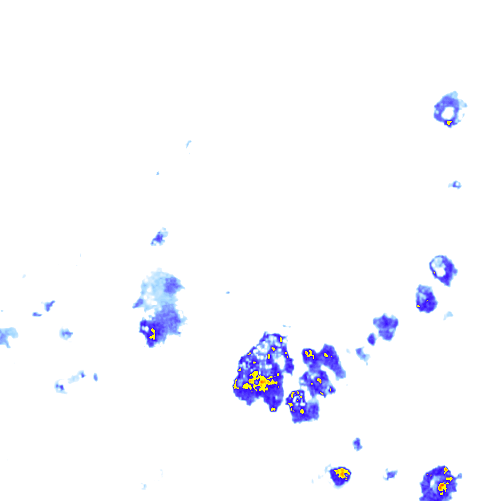 Image Layer