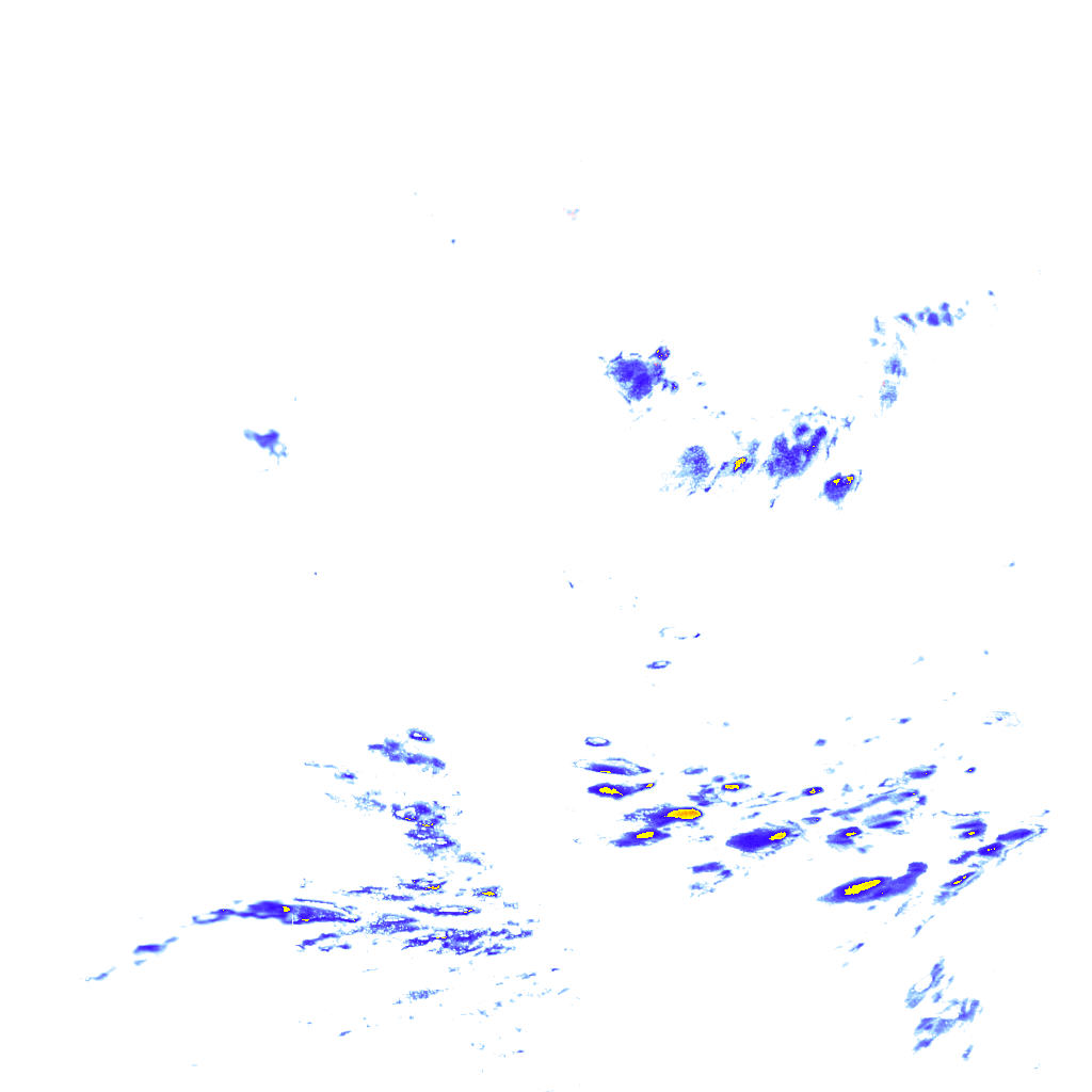 rainLayer