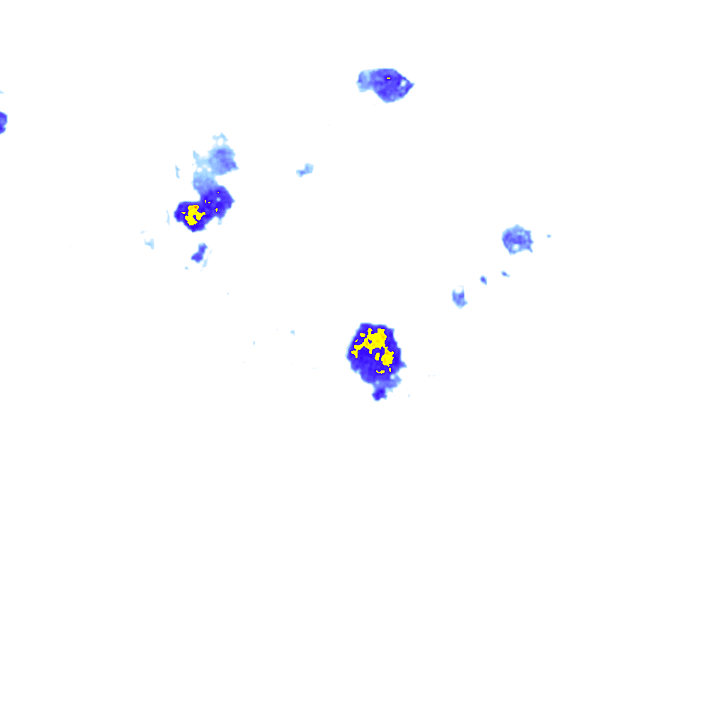 rainLayer