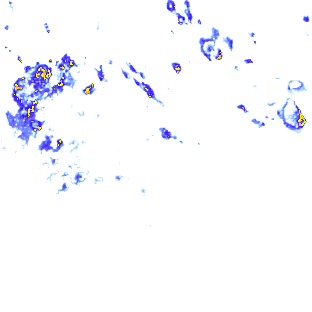rainLayer