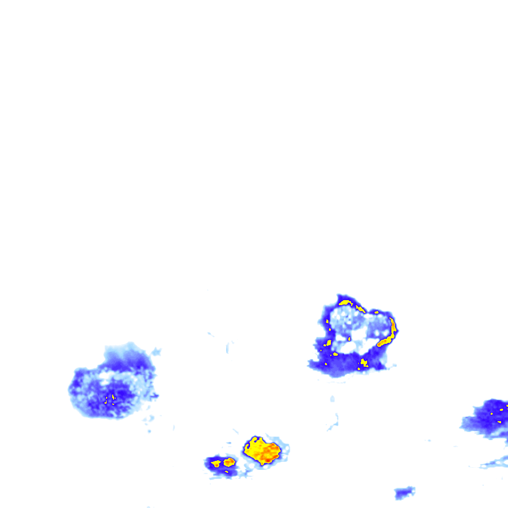 rainLayer