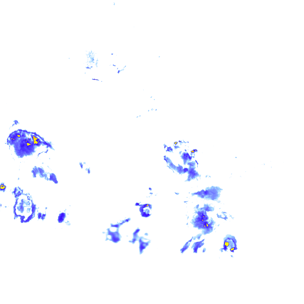 rainLayer