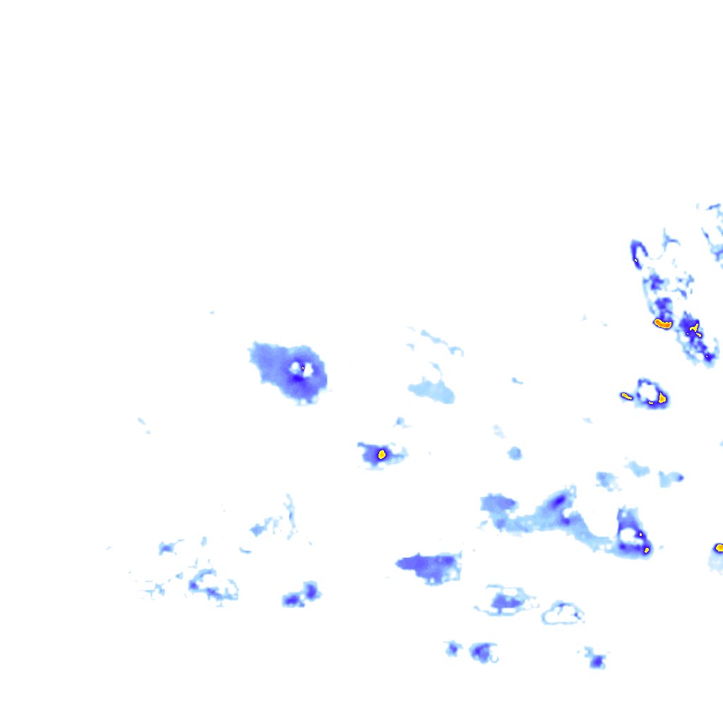 rainLayer