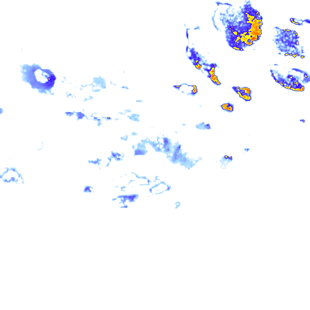 Image Layer