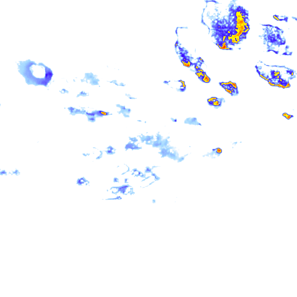 rainLayer
