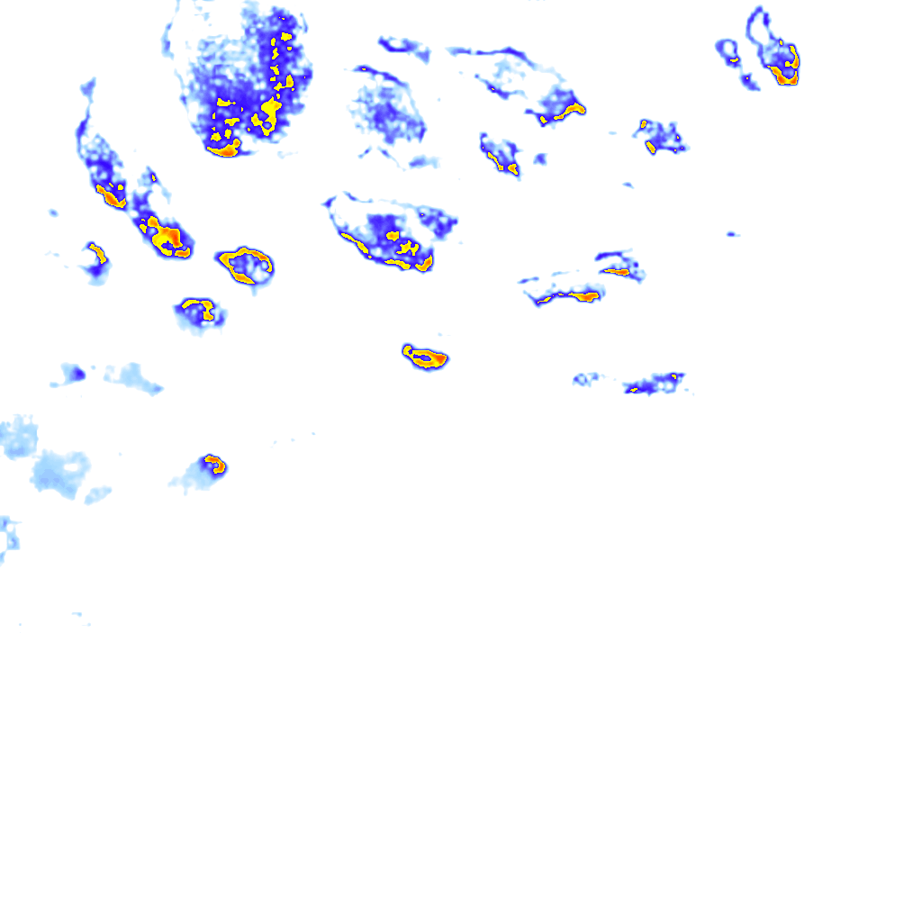 rainLayer