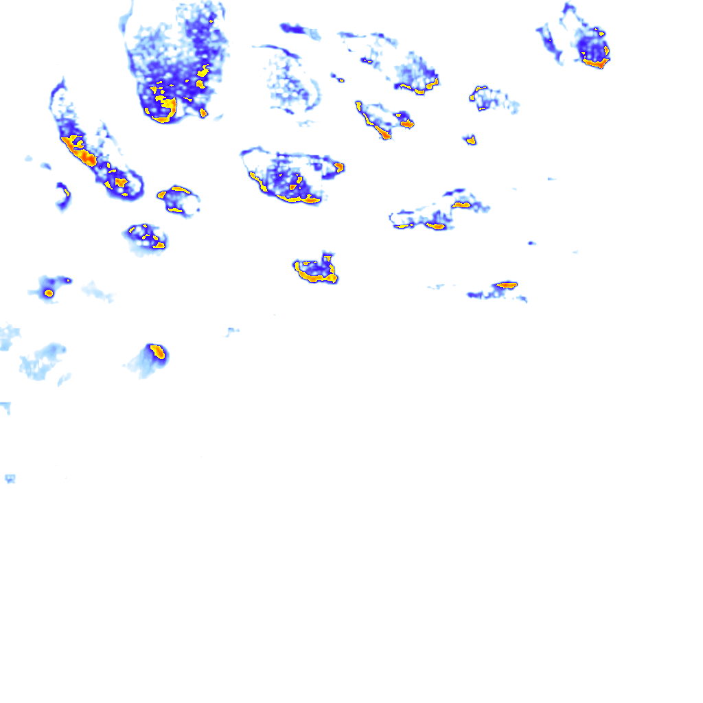 rainLayer