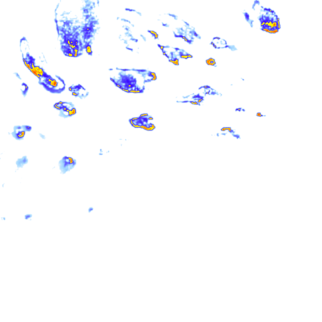 rainLayer