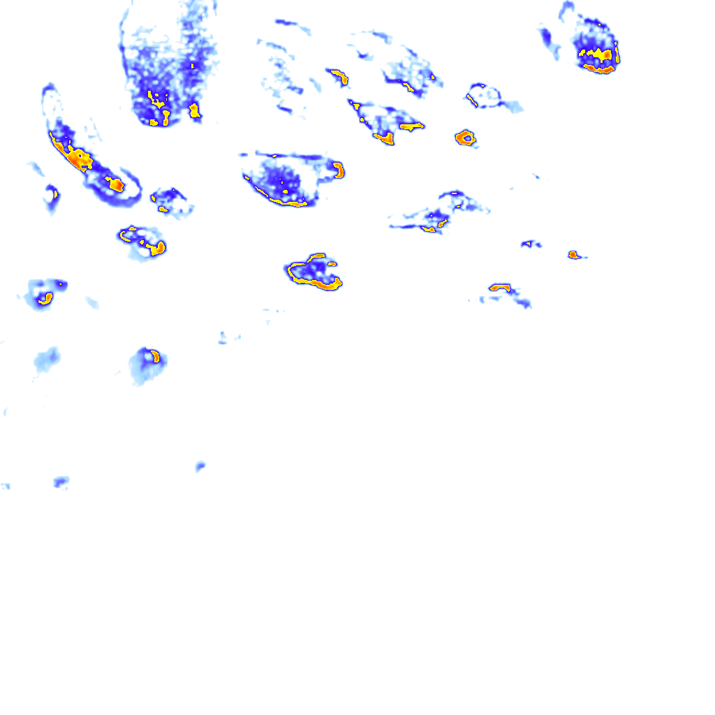 rainLayer