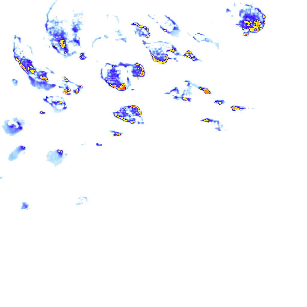 Image Layer