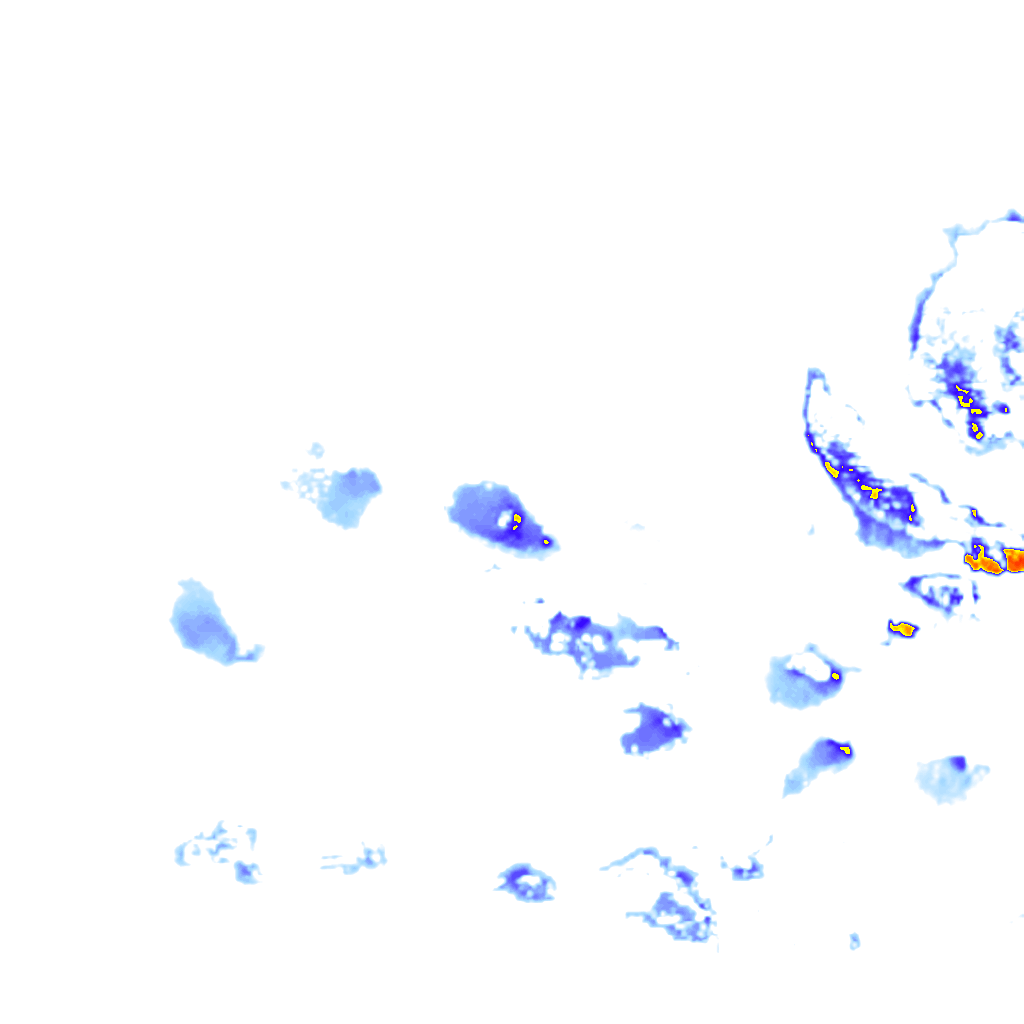rainLayer