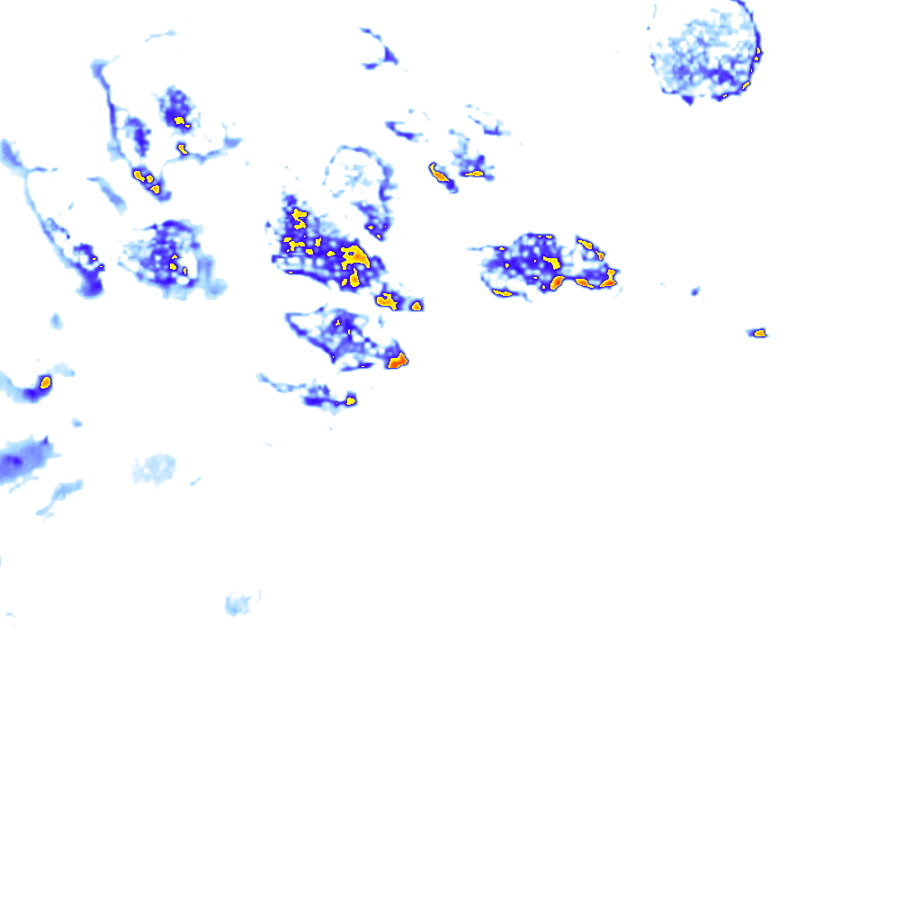 rainLayer