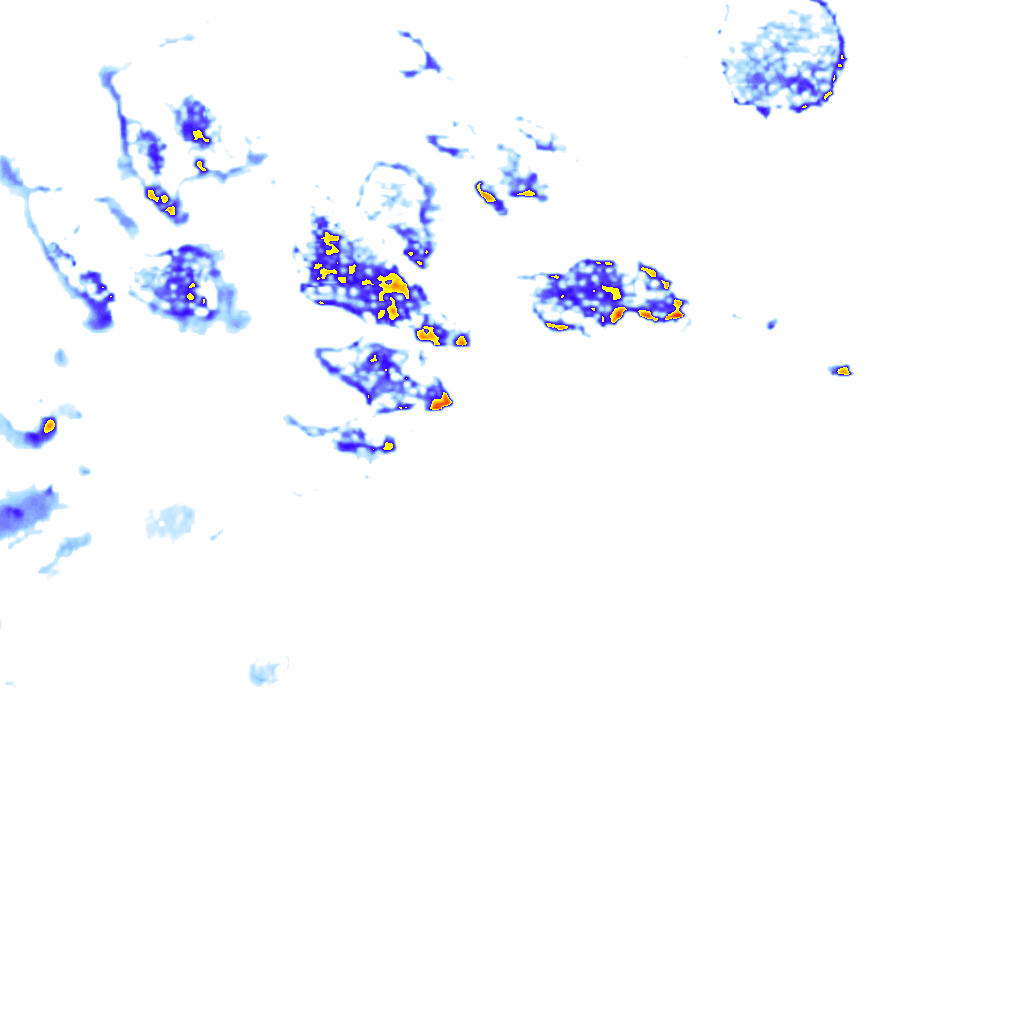 rainLayer