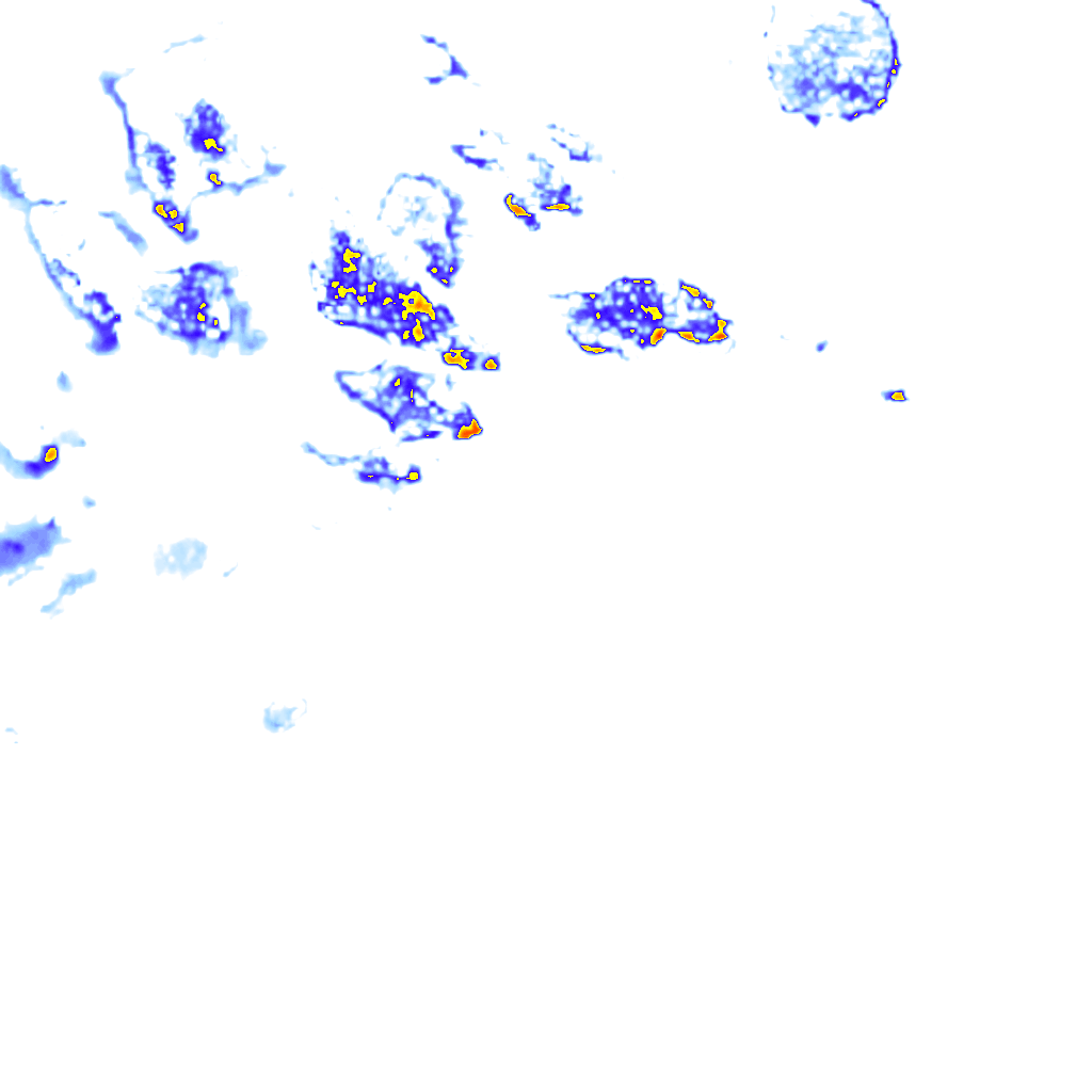Image Layer