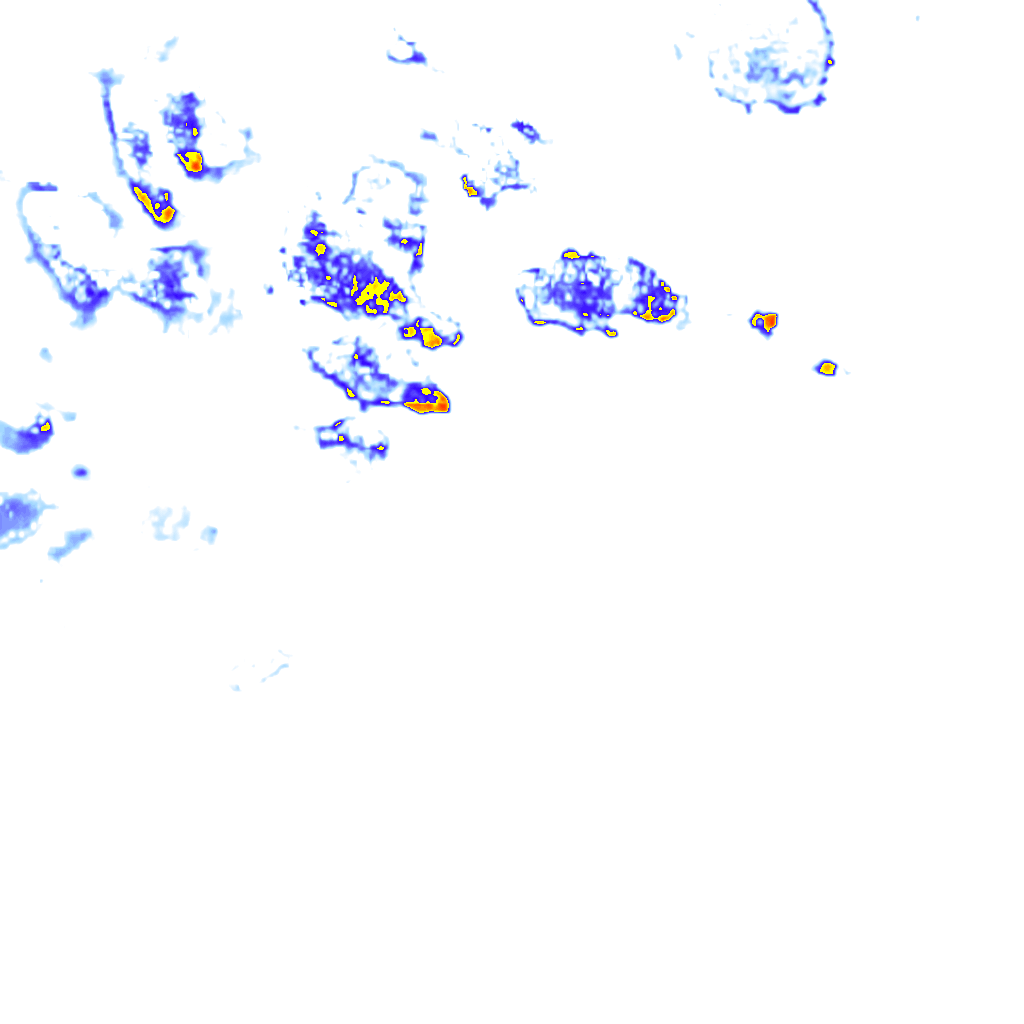 rainLayer