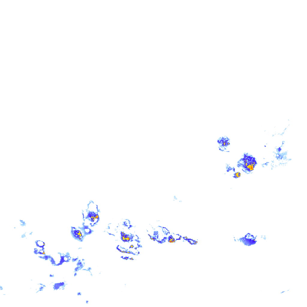 rainLayer