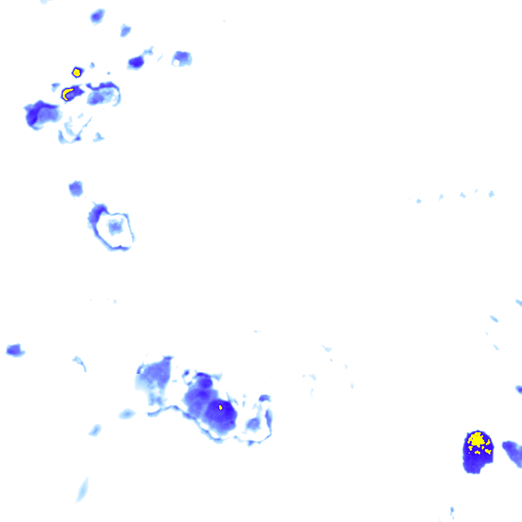 rainLayer