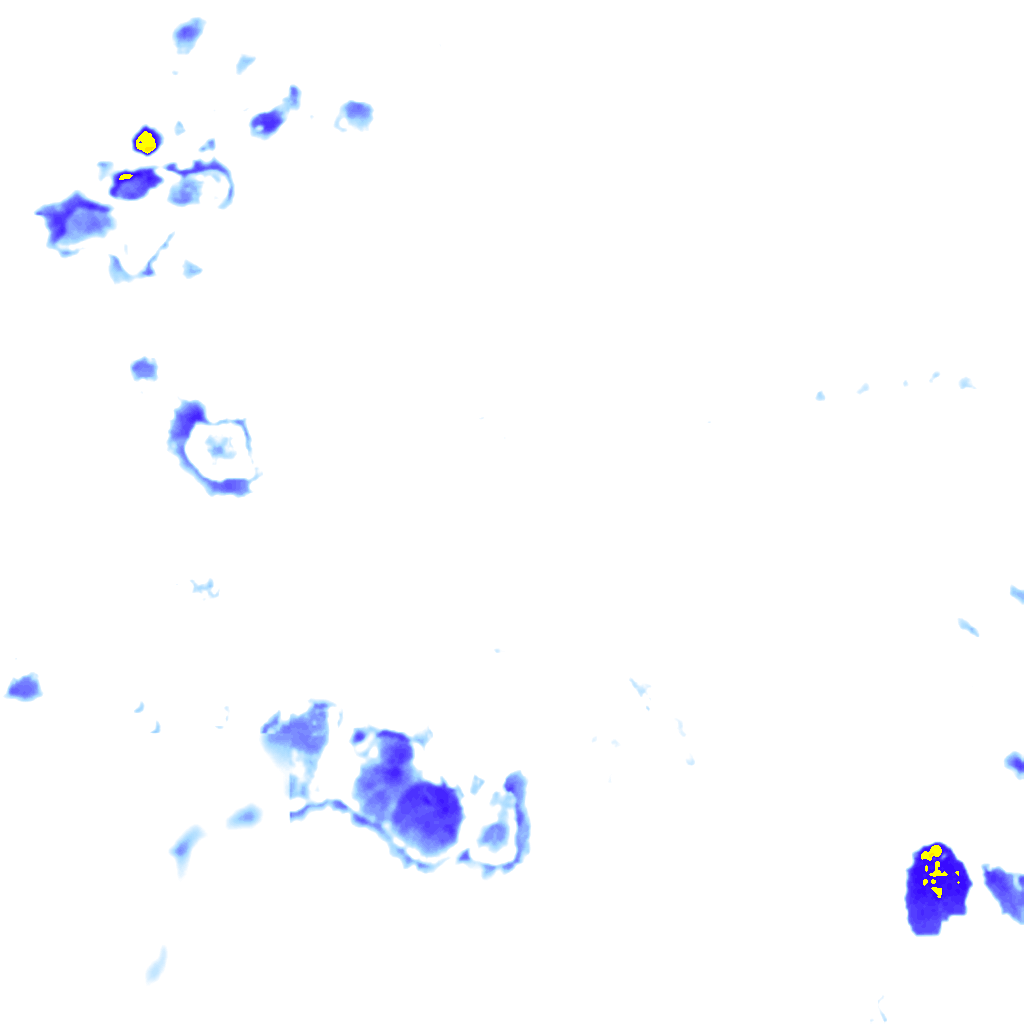 Image Layer