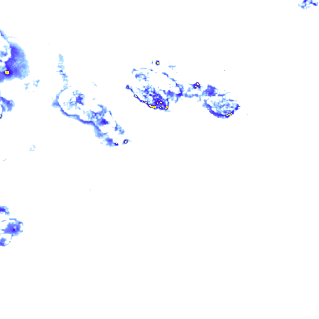 rainLayer