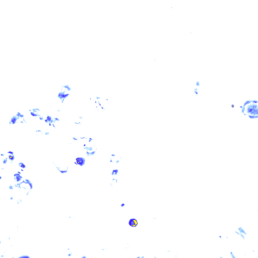 rainLayer