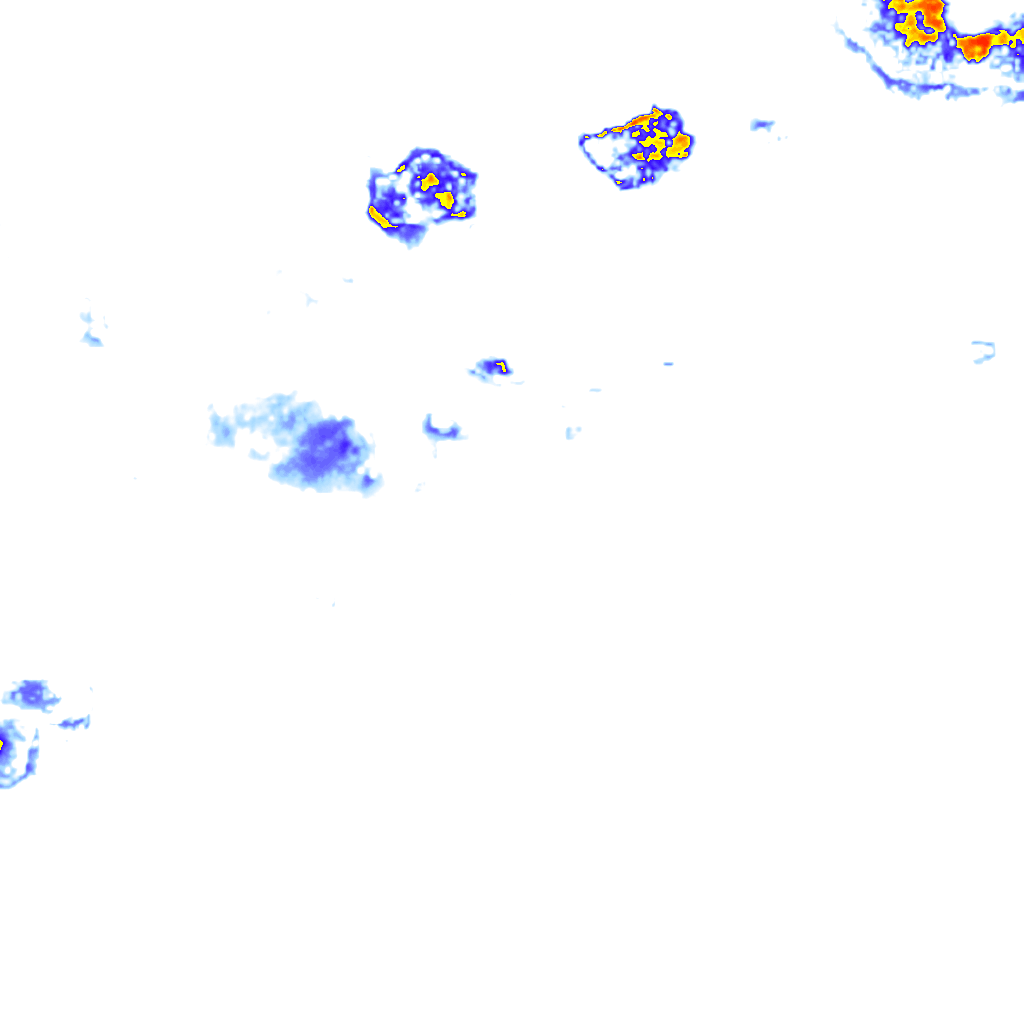rainLayer