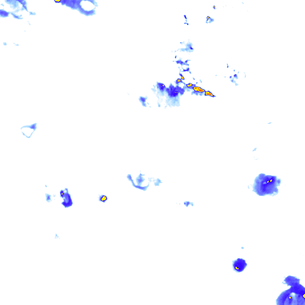 rainLayer