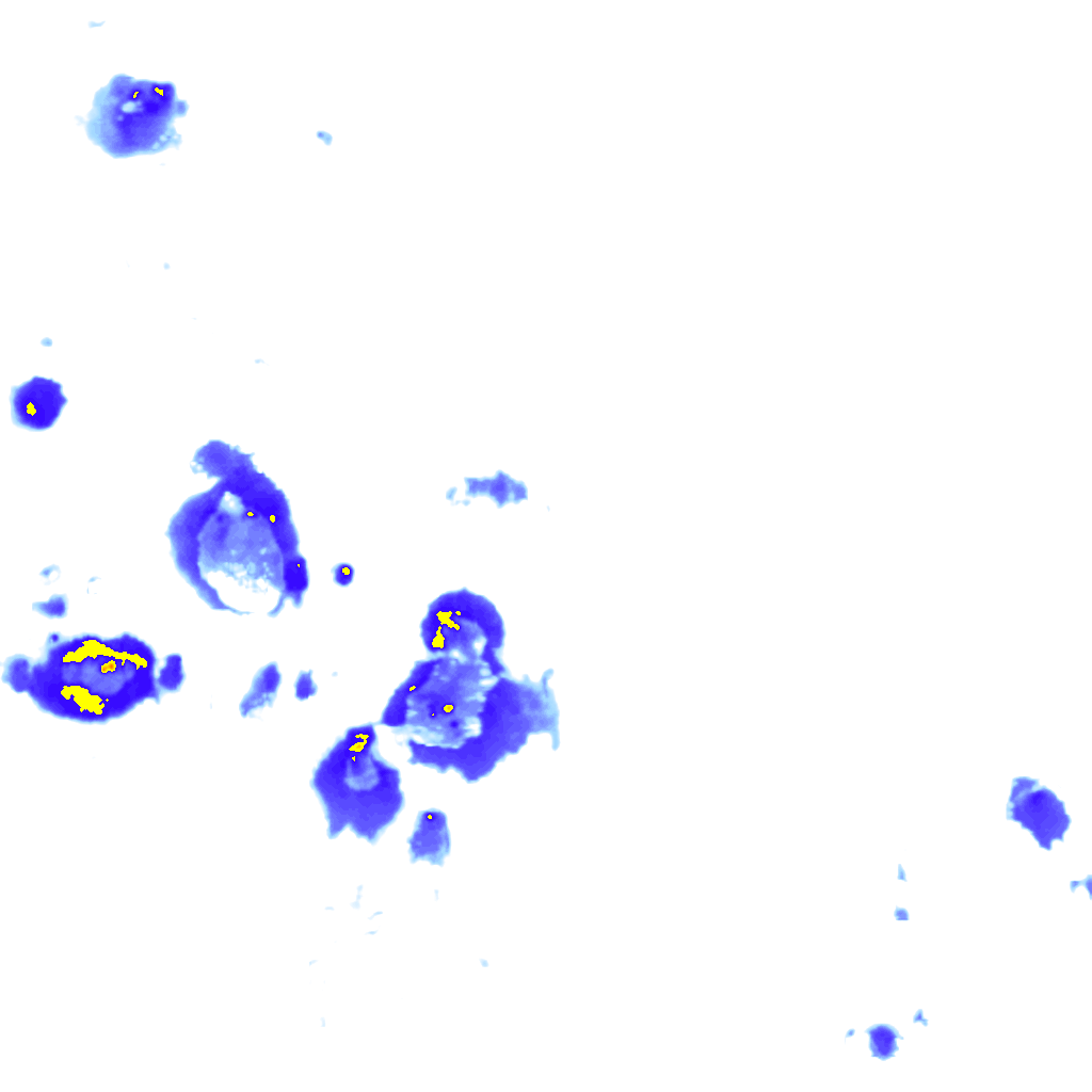 rainLayer