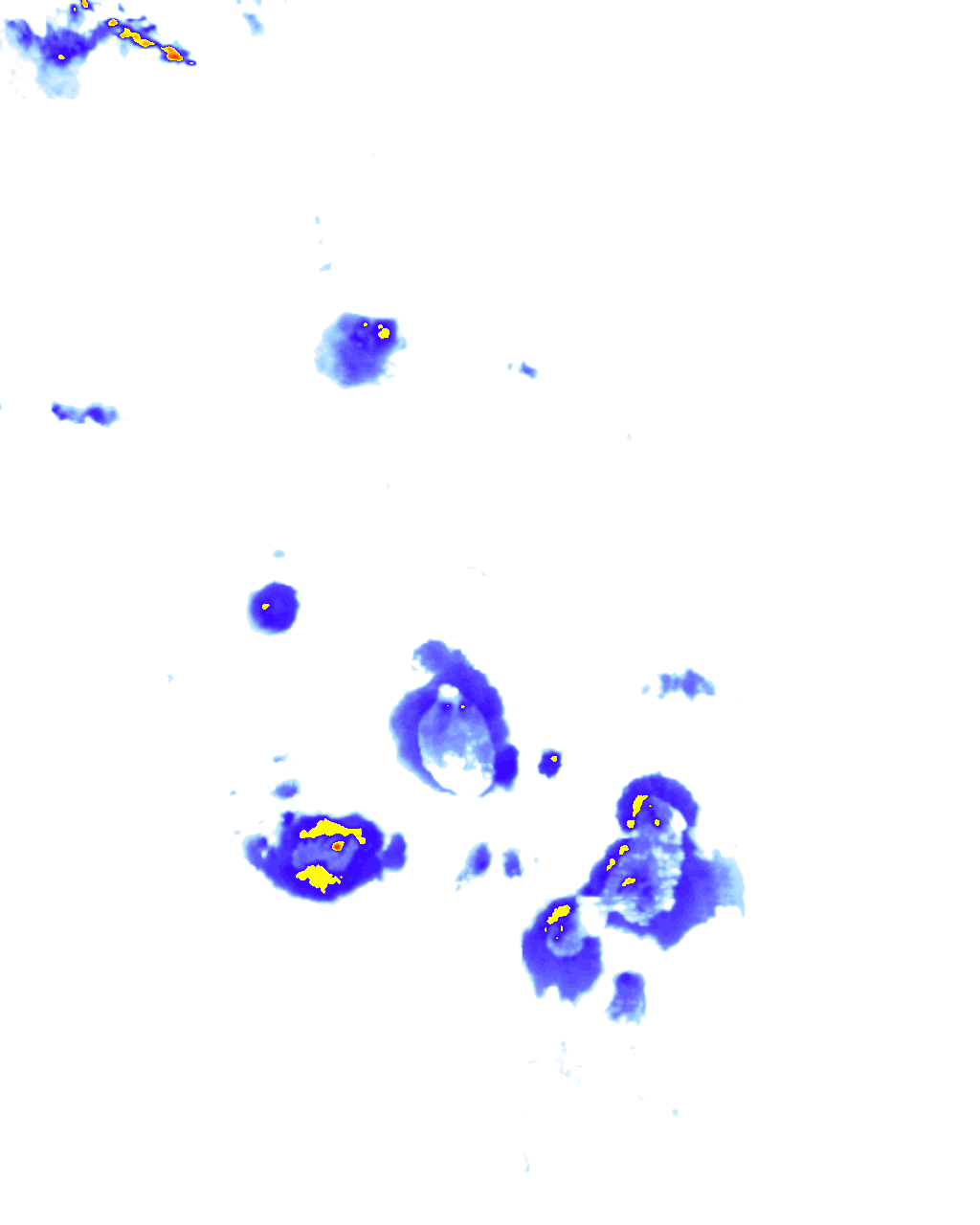 rainLayer