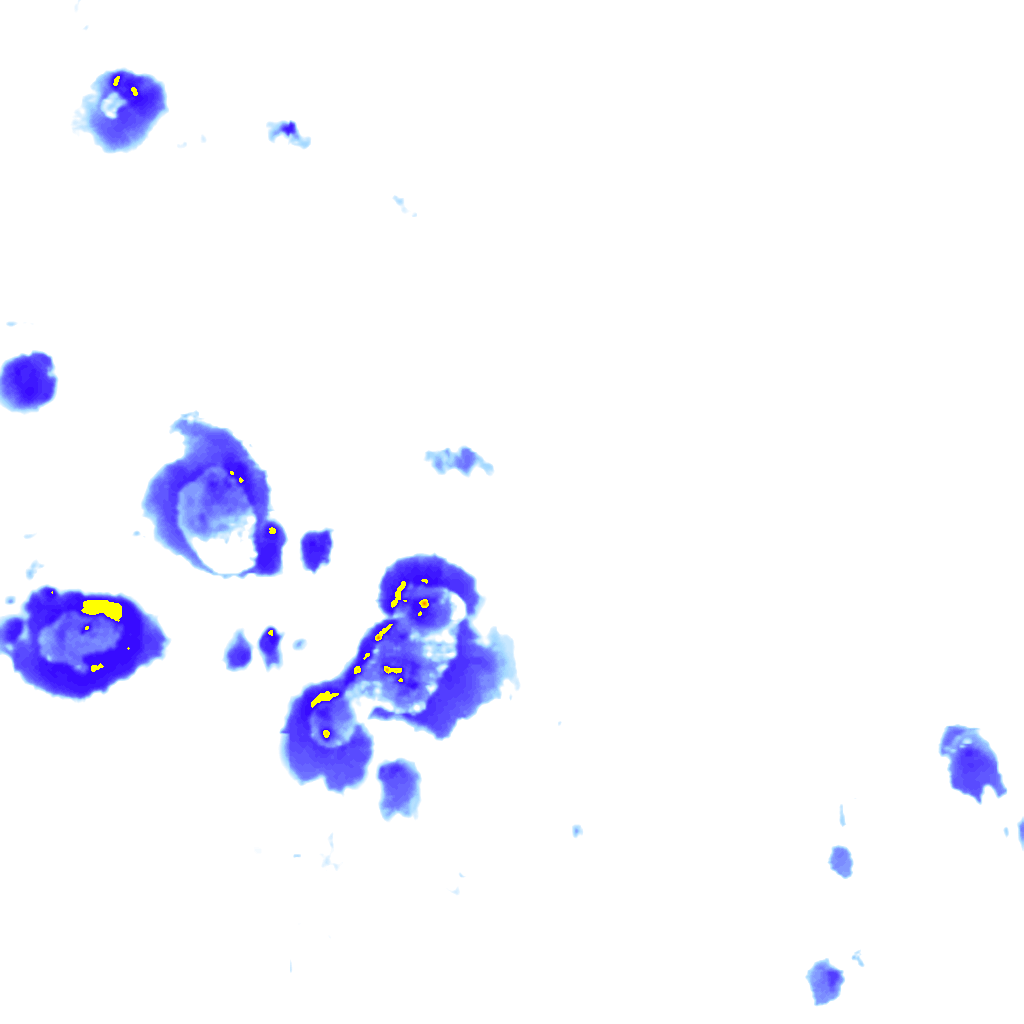 rainLayer