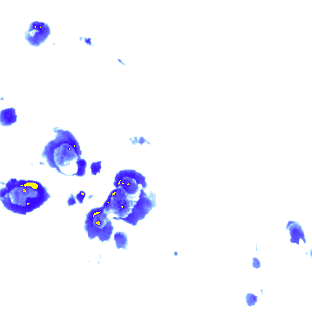 rainLayer