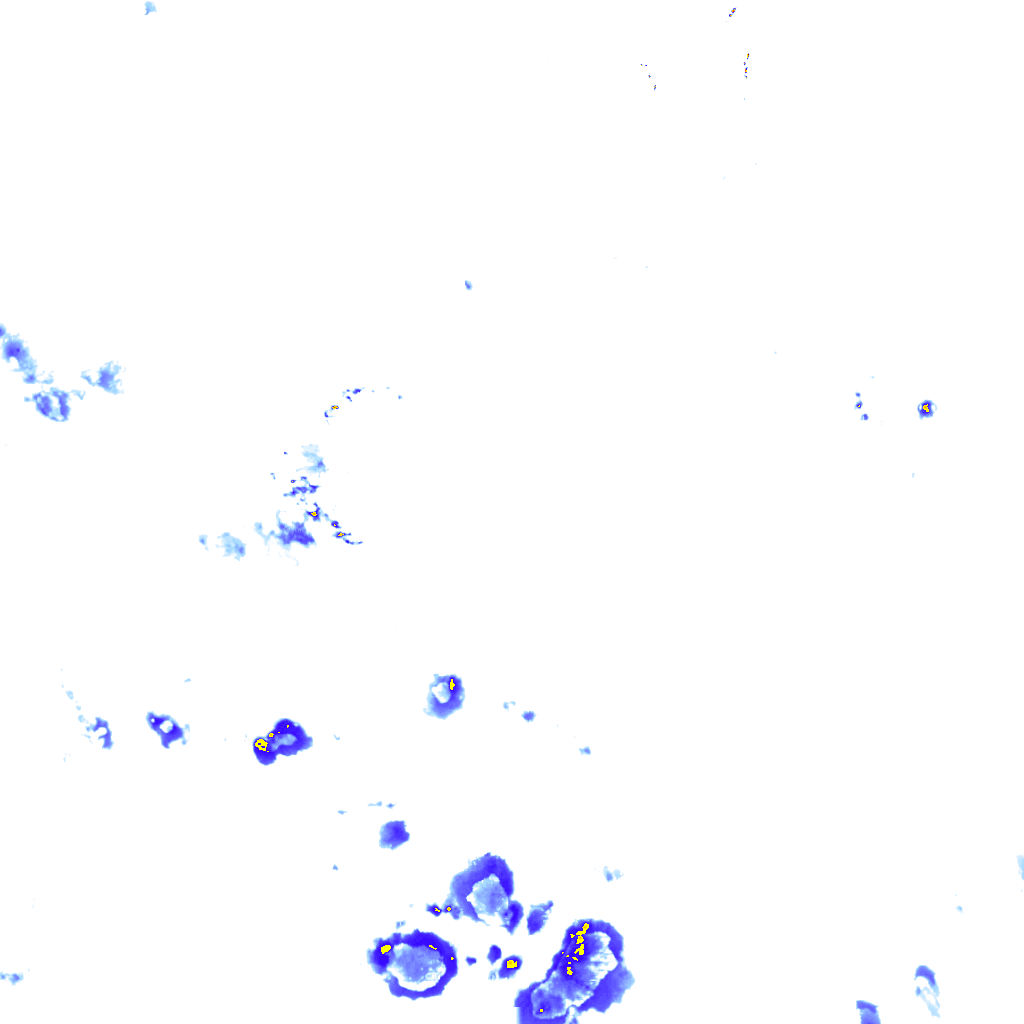 rainLayer