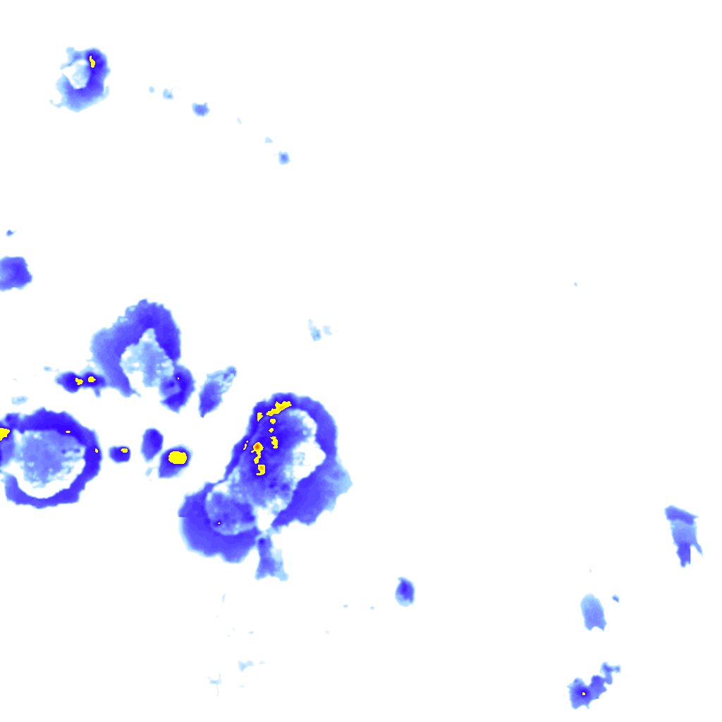 rainLayer
