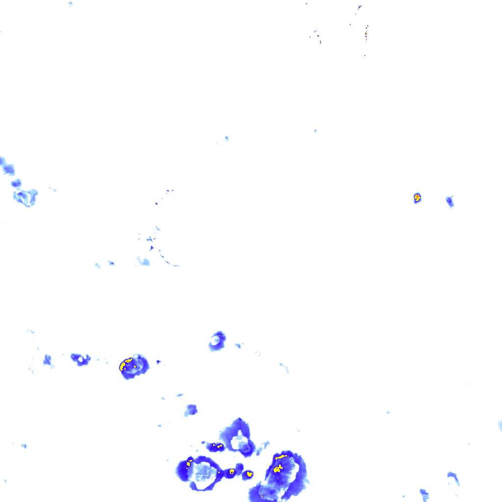 rainLayer