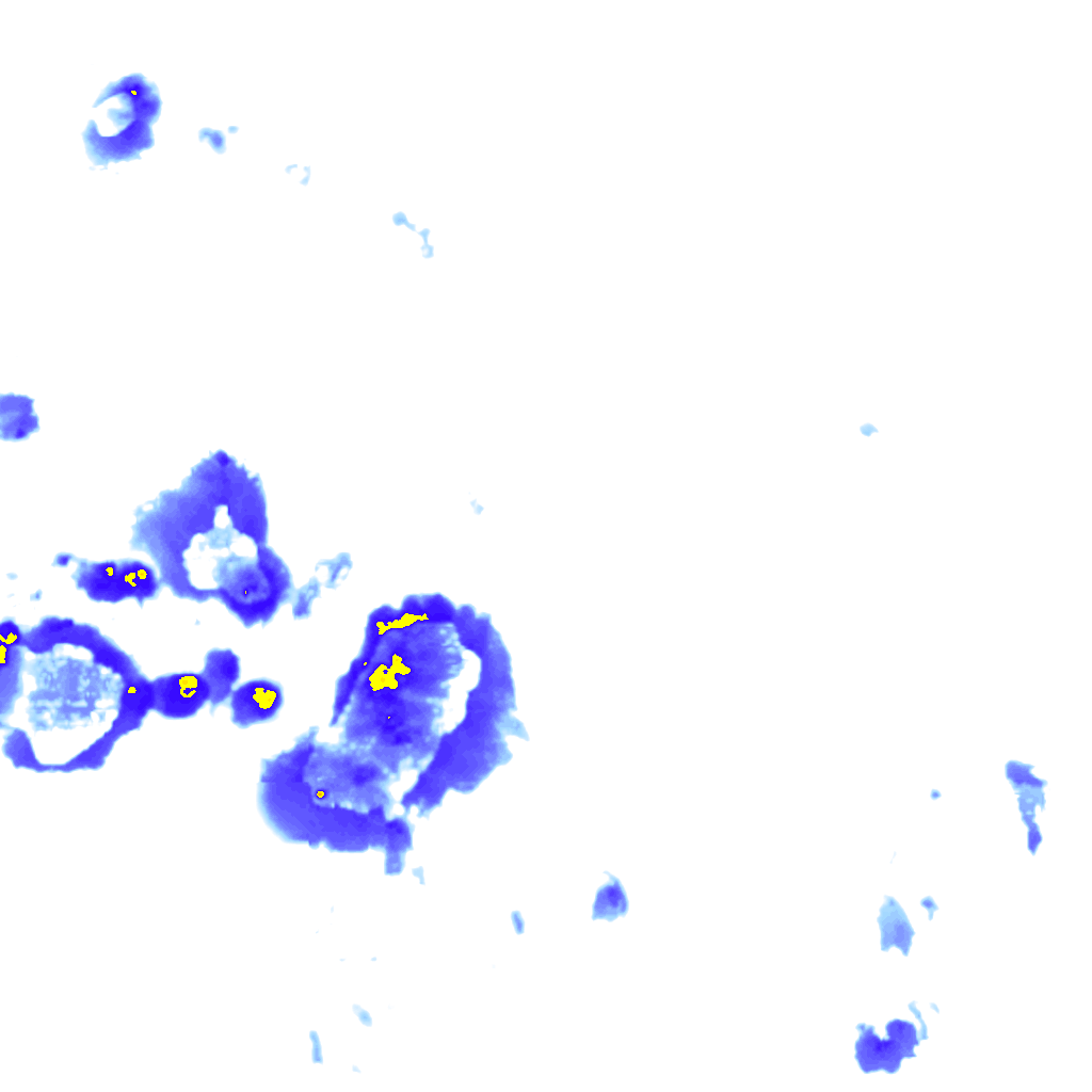 rainLayer