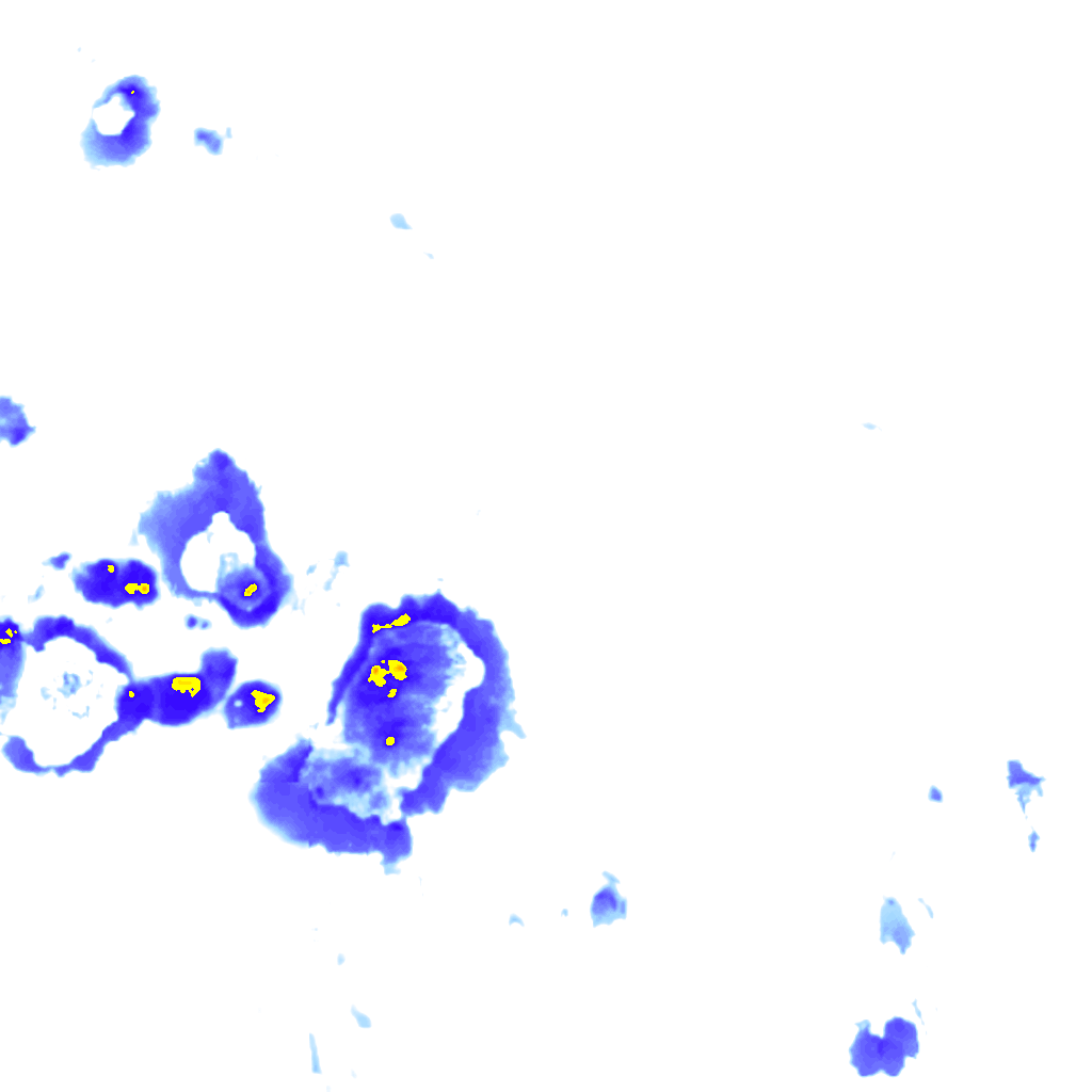 rainLayer