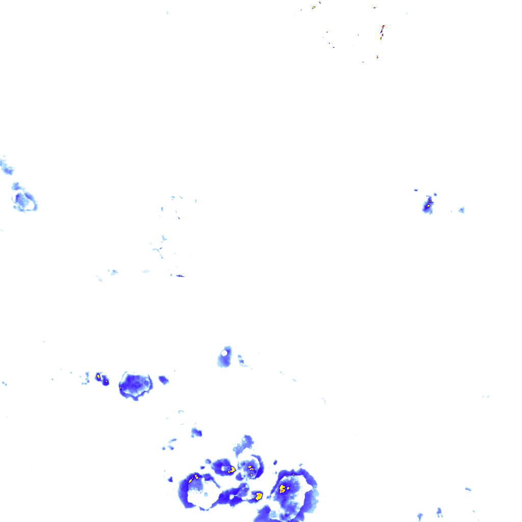 rainLayer