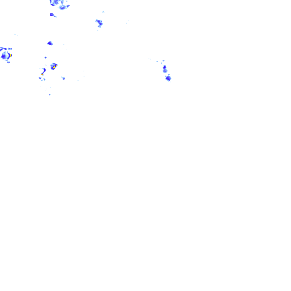 rainLayer