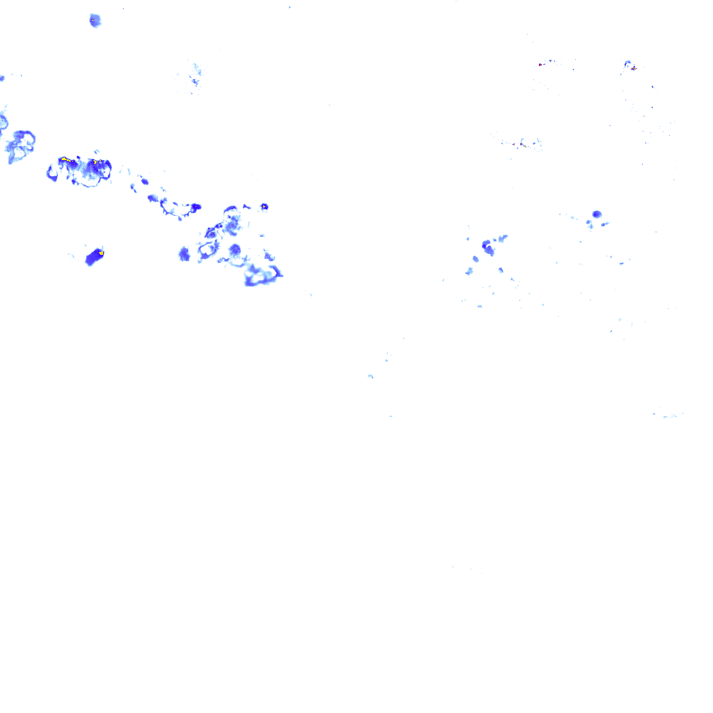 rainLayer