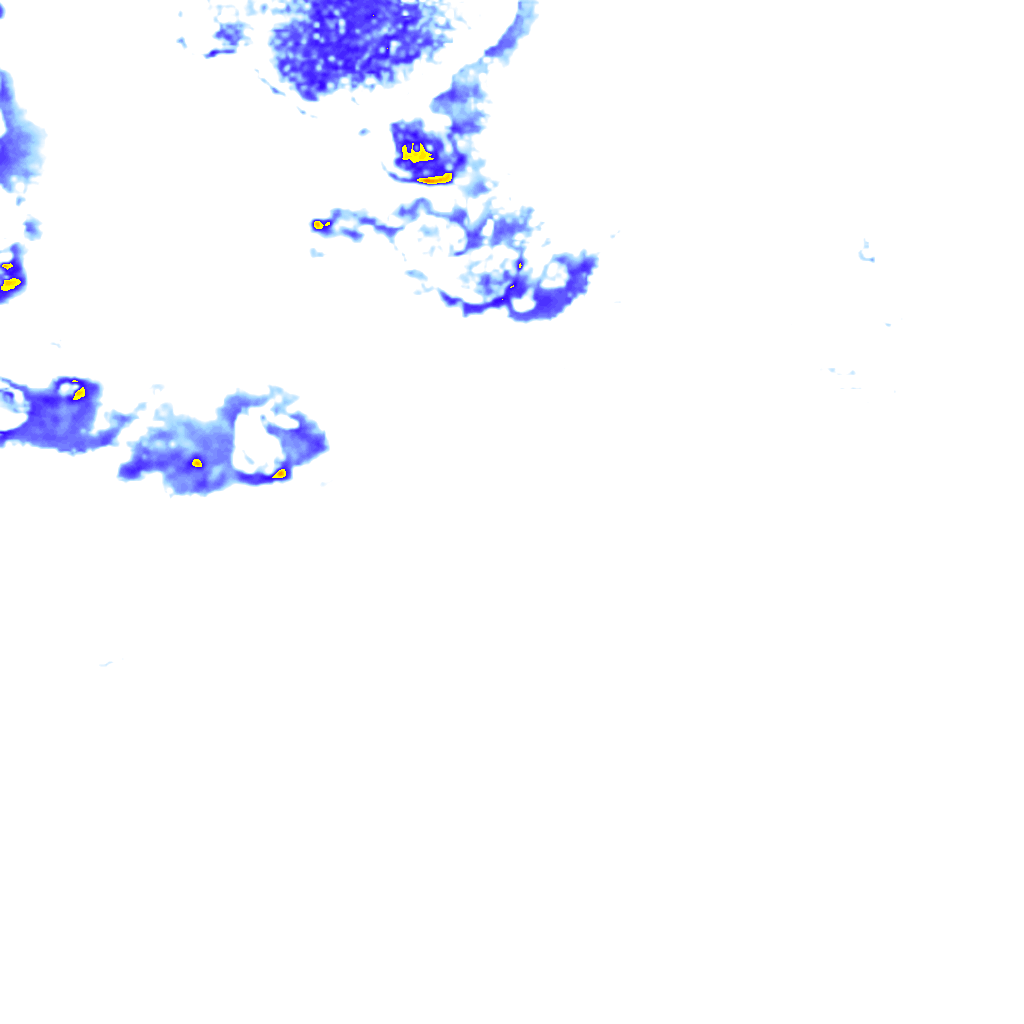 Image Layer