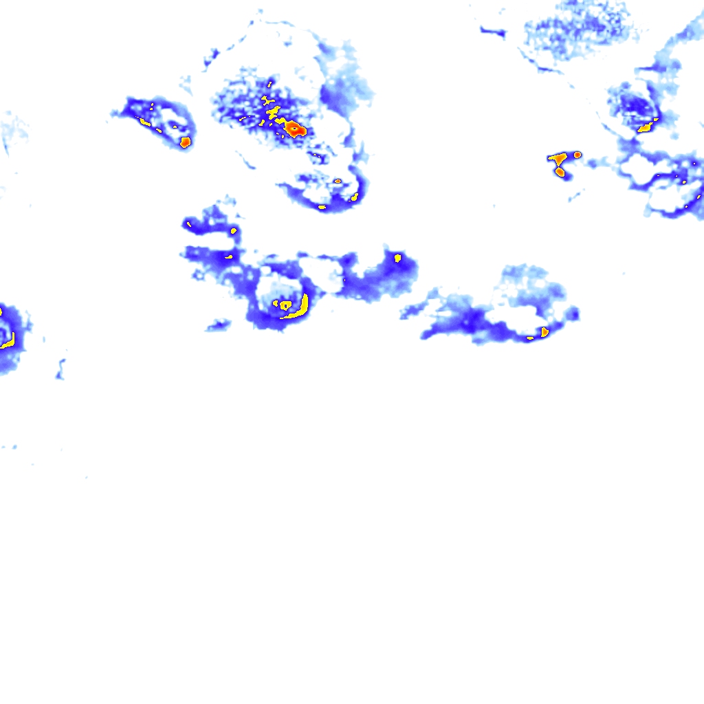 rainLayer