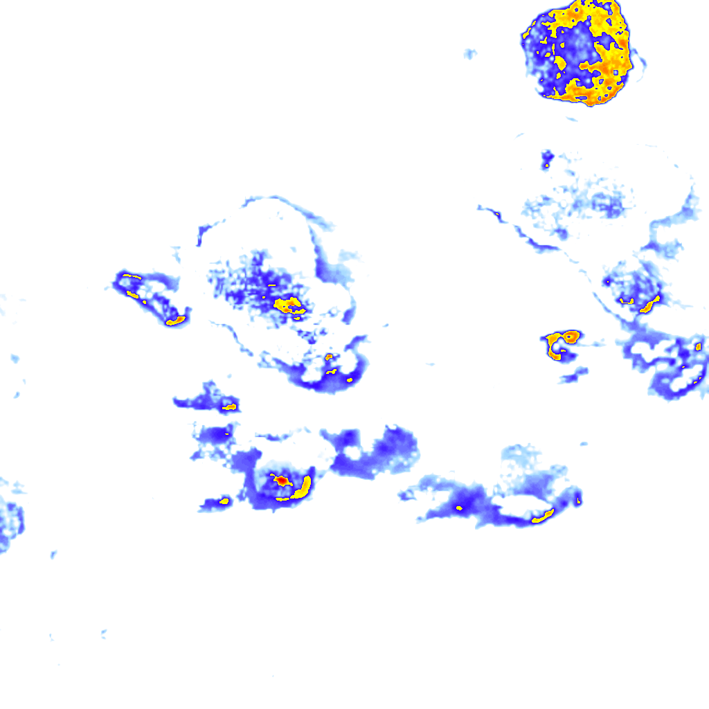 Image Layer