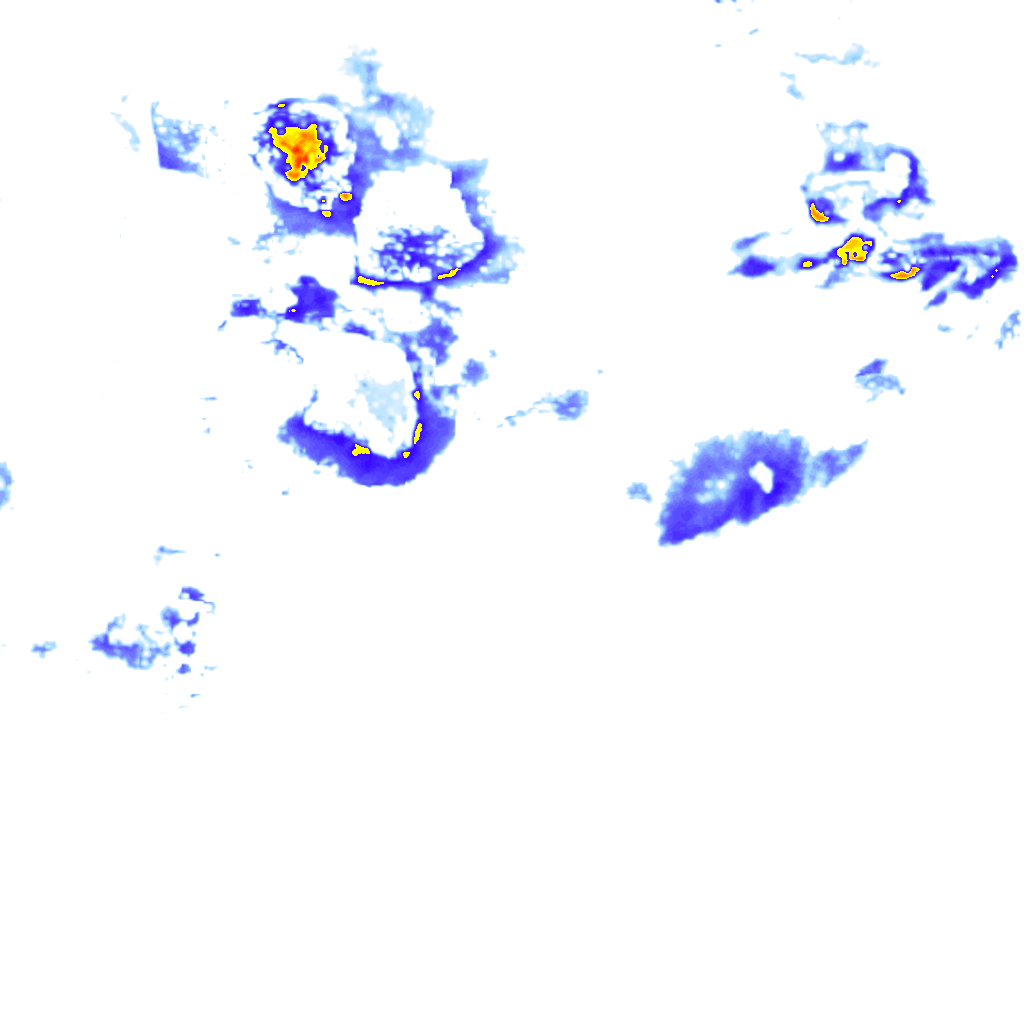 rainLayer