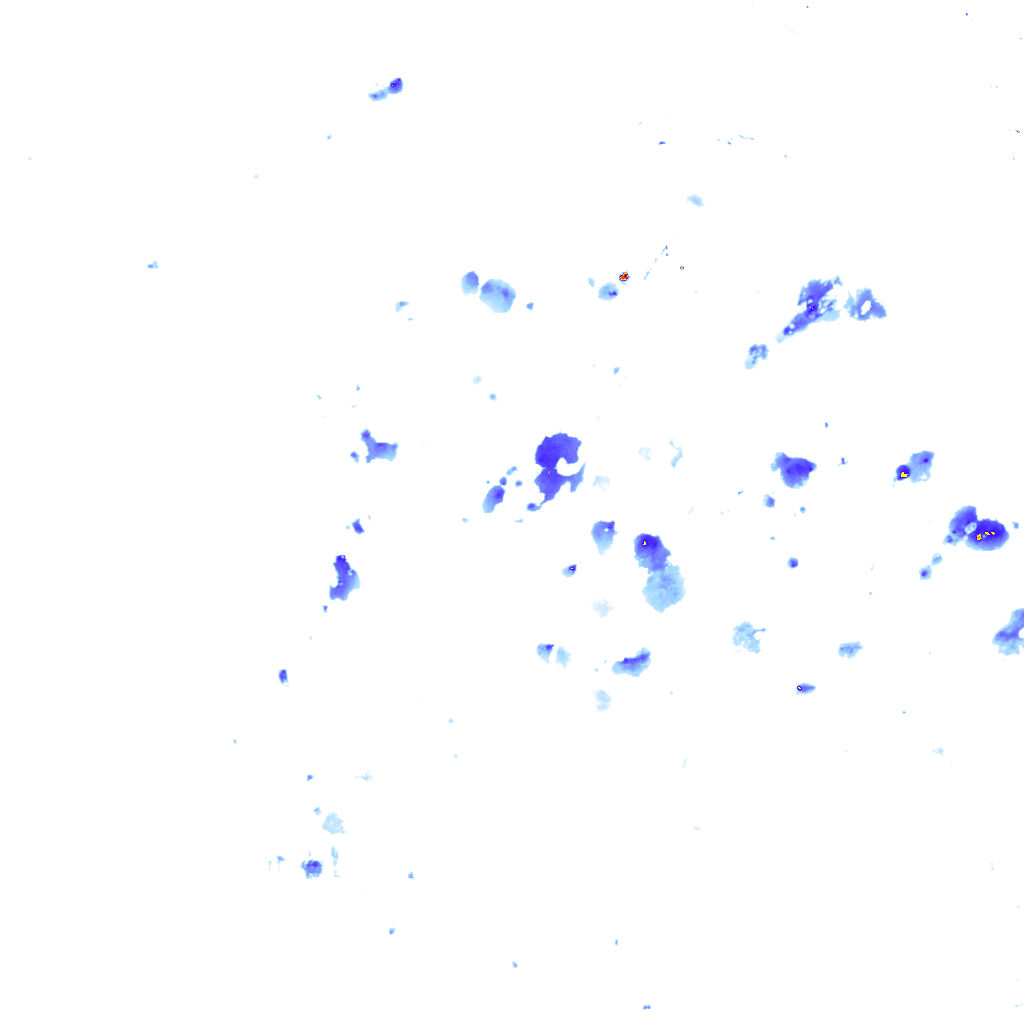 rainLayer
