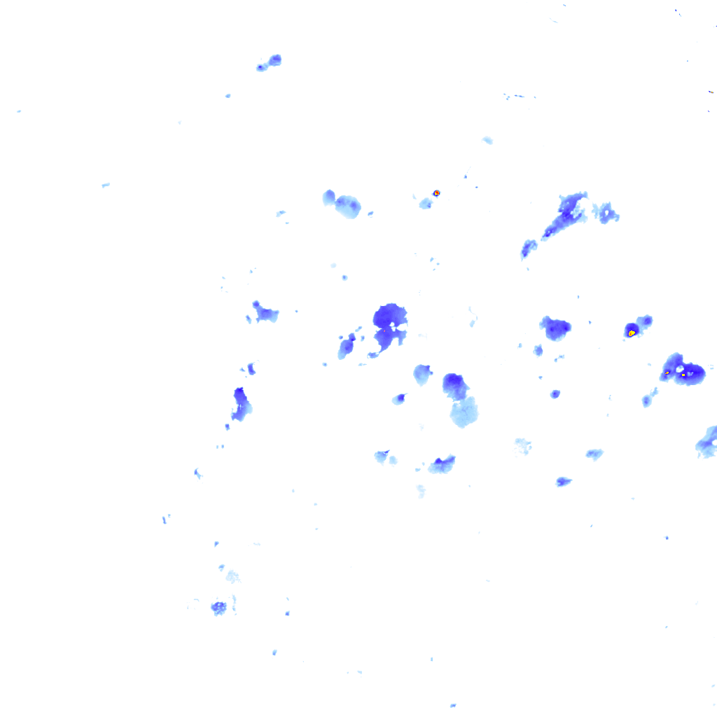 rainLayer
